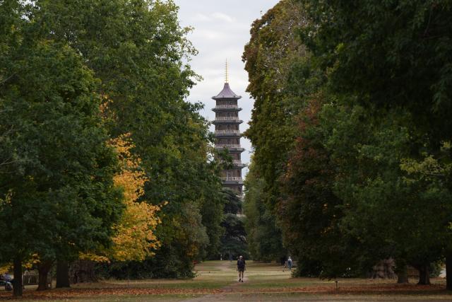 (261031) -- LONDON, Oct. 31, 2026 (Xinhua) -- This photo taken on Sept. 11, 2026 shows Kew's Chinese-style Great Pagoda in London, Britain. TO GO WITH "Feature: Visiting Kew through lens of biodiversity conservation" (Xinhua/Zhang Feng)