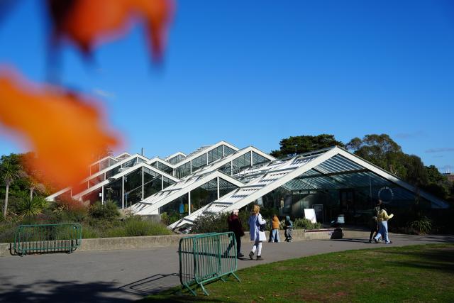 (261031) -- LONDON, Oct. 31, 2026 (Xinhua) -- This photo taken on Oct. 17, 2026 shows Kew's Princess of Wales Conservatory in London, Britain. TO GO WITH "Feature: Visiting Kew through lens of biodiversity conservation" (Xinhua/Zhang Feng)