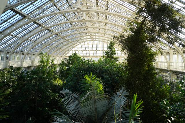(261031) -- LONDON, Oct. 31, 2026 (Xinhua) -- This photo taken on Oct. 17, 2026 shows Kew's Temperate House in London, Britain. TO GO WITH "Feature: Visiting Kew through lens of biodiversity conservation" (Xinhua/Zhang Feng)