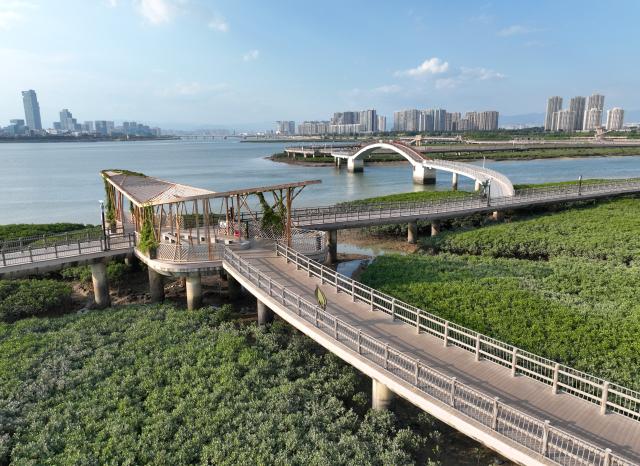 (261031) -- XIAMEN, Oct. 31, 2026 (Xinhua) -- A drone photo taken on Oct. 27, 2026 shows a view of a mangrove park in Xiang'an District of Xiamen, southeast China's Fujian Province. For years, Xiamen has continued to promote ecological development by stepping up efforts to build "beautiful bays," protect tidal flats and wetlands, and restore coastal ecosystems. (Xinhua/Lin Shanchuan)