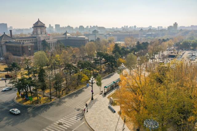 (261031) -- CHANGCHUN, Oct. 31, 2026 (Xinhua) -- A drone photo taken on Oct. 30, 2026 shows an autumn scenery of Xinmin Avenue in Changchun, northeast China's Jilin Province. Carpeted with golden leaves on some roads and in some parks, Changchun's autumn boasts stunning and inviting views. Thanks to the decision of the city's urban management authority, fallen leaves have been postponed for sweeping, and retained for public viewing in designated area since 2020, on the premise of not affecting road traffic. (Xinhua/Zhang Nan)