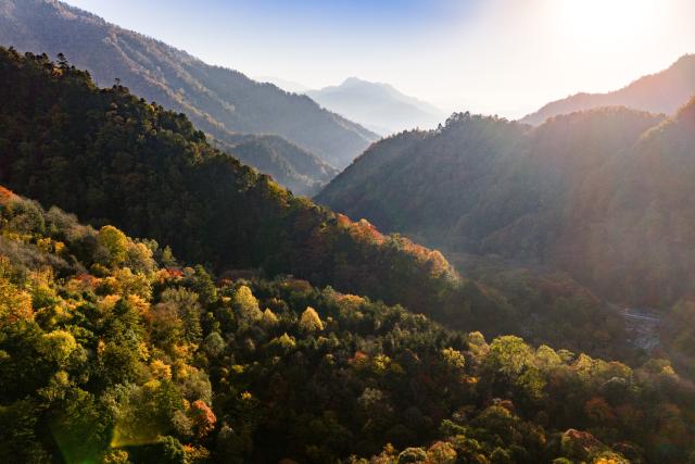 (261031) -- GUANGYUAN, Oct. 31, 2026 (Xinhua) -- An aerial drone photo taken on Oct. 30, 2026 shows the autumn scenery at the Tangjiahe National Nature Reserve in Qingchuan County of Guangyuan City, southwest China's Sichuan Province. (Xinhua/Jiang Hongjing)