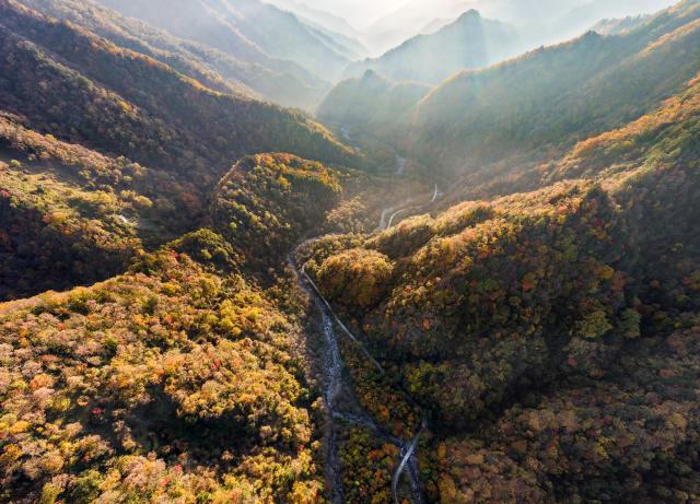 (261031) -- GUANGYUAN, Oct. 31, 2026 (Xinhua) -- An aerial drone photo taken on Oct. 30, 2026 shows the autumn scenery at the Tangjiahe National Nature Reserve in Qingchuan County of Guangyuan City, southwest China's Sichuan Province. (Xinhua/Jiang Hongjing)