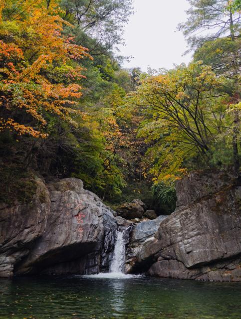 (261031) -- GUANGYUAN, Oct. 31, 2026 (Xinhua) -- This photo taken on Oct. 31, 2026 shows the autumn scenery at the Tangjiahe National Nature Reserve in Qingchuan County of Guangyuan City, southwest China's Sichuan Province. (Xinhua/Jiang Hongjing)