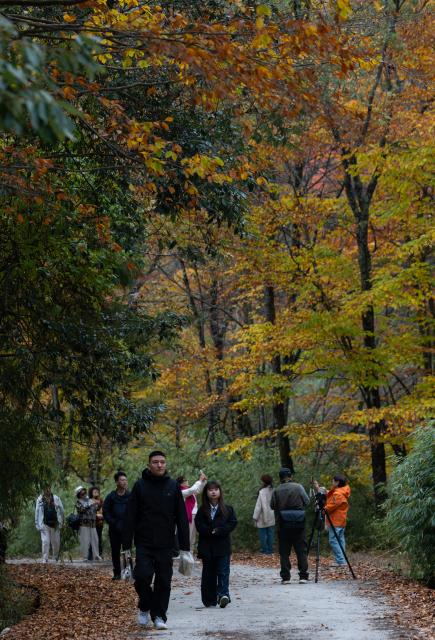 (261031) -- GUANGYUAN, Oct. 31, 2026 (Xinhua) -- This photo taken on Oct. 31, 2026 shows people enjoying the autumn scenery at the Tangjiahe National Nature Reserve in Qingchuan County of Guangyuan City, southwest China's Sichuan Province. (Xinhua/Jiang Hongjing)